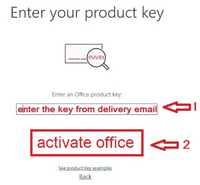 Microsoft Office 2021  Professional Plus - (Phone activation)