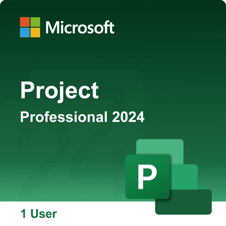 Microsoft Project 2024 Professional