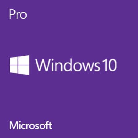 Windows 10 Professional - Download