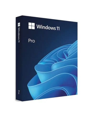 Windows 11 Professional - Download -