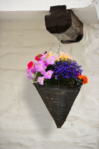 Ambassador Dark Willow Hanging Cone Basket - 14"