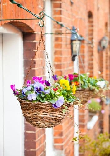 Ambassador Rattan Hanging Basket - 12"