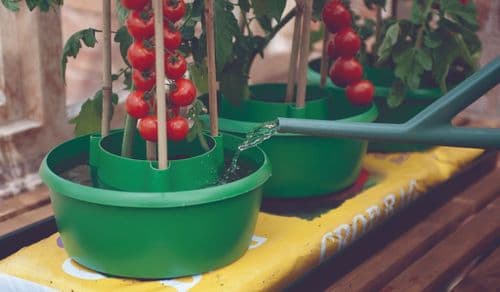 Garland Plant Halos Green Pack 3