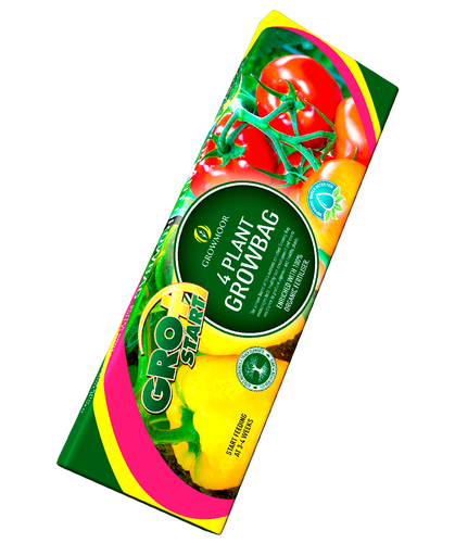 Growmoor 4 Plant Grow Bag 38ltr