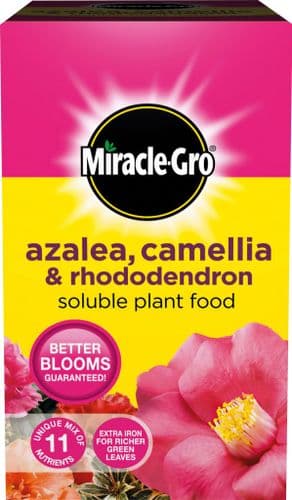 Miracle-Gro Azalea, Camellia & Rhododendron Soluble Plant Food - 500g Carton