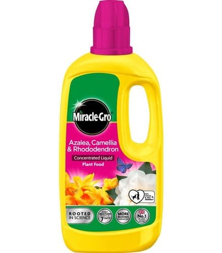 Miracle-Gro® Ericaceous Liquid Plant Food 800ml