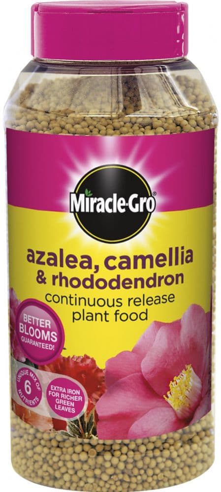 Miracle-Gro Slow Release Azalea Camellia & Rhododendron Plant Food 900g