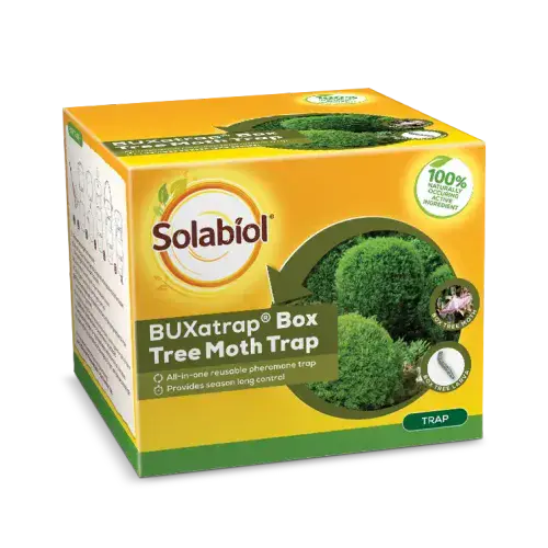 Solabiol Box Tree Moth Trap