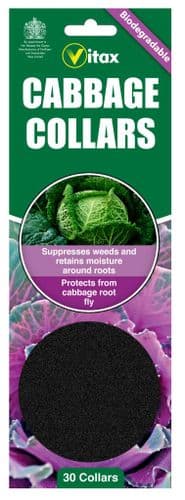 Vitax Cabbage Collars - Pack 30