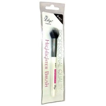 Lilyz High Quality Professional Make Up Application Highlighting/Blusher Brush