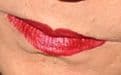 Lilyz Professional Quality Lip Defining Brush - Lipstick & Lip Gloss Application