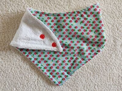 Strawberry Bib