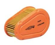 Genuine Briggs & Stratton Air Filter 792038, 790388