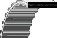 Genuine Castelgarden Timing Belt fits 122cm (48