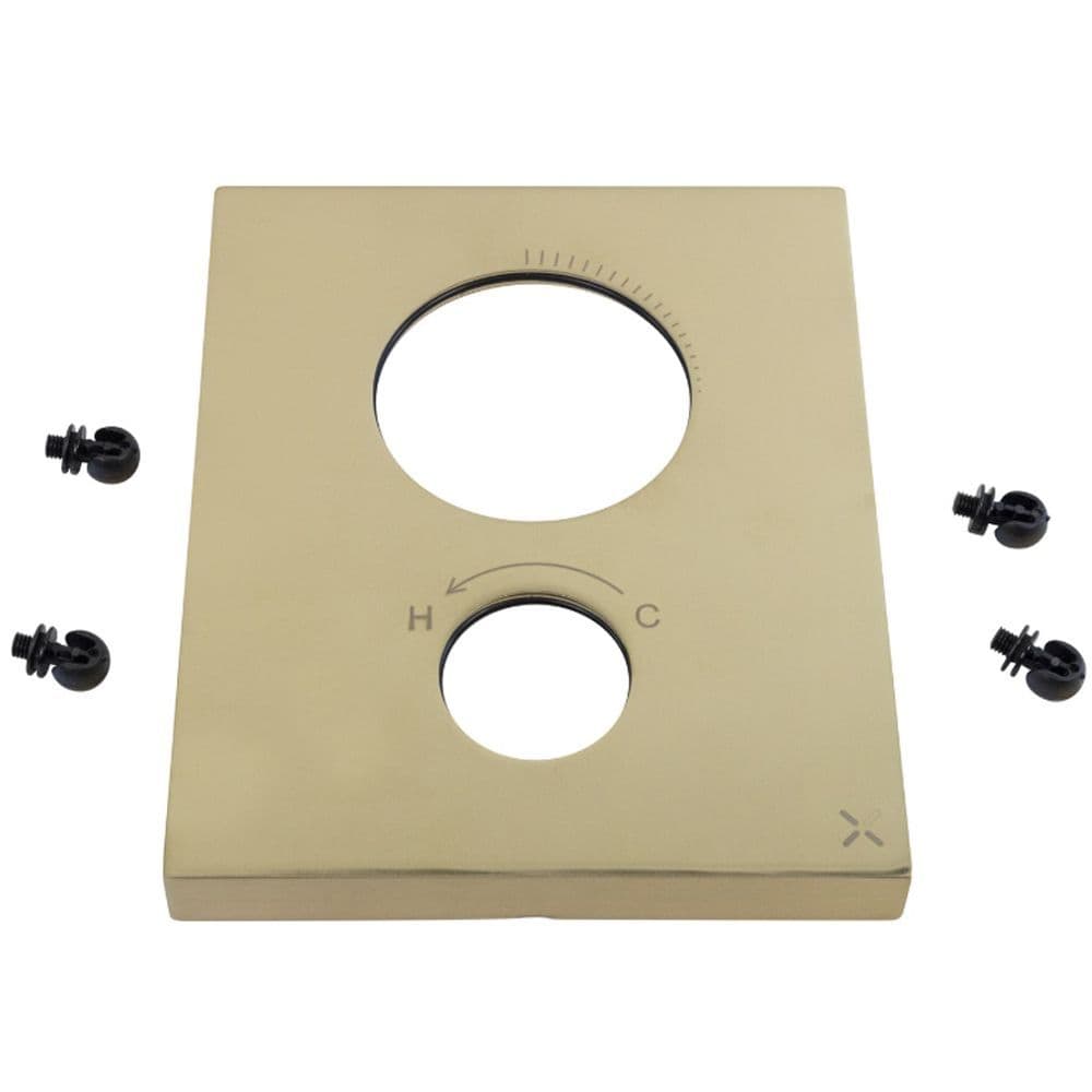 Crosswater Crossbox PUSH Backplate Brushed Brass E250020 28200SC