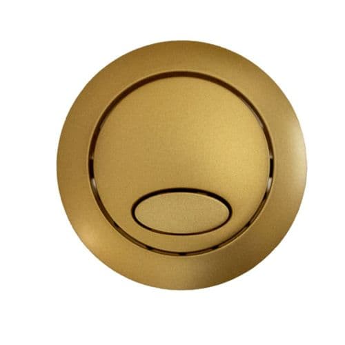 Fluidmaster Dual Flush Push Button Brushed Brass 800P-026-P250