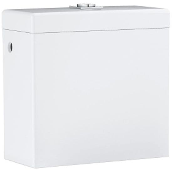 Grohe Exposed Flushing Cistern Model