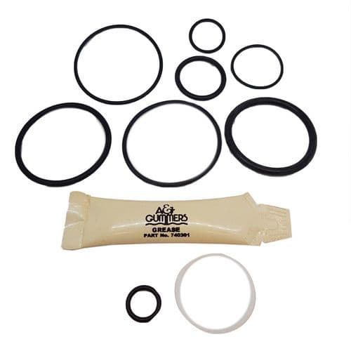 Gummers Seal Kit SK4503-1