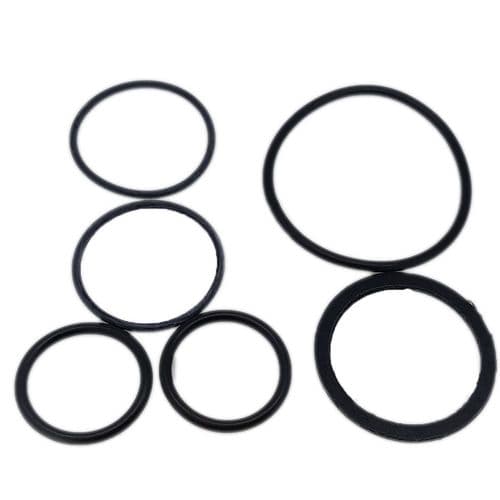 Gummers Seals & Thermostat Kit SK5000-3