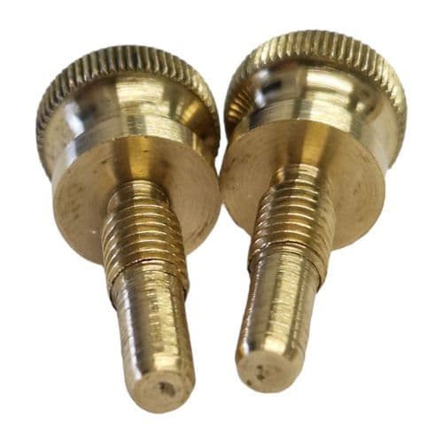 Lefroy Brooks Polished Brass Knurled Screws PSP020PB