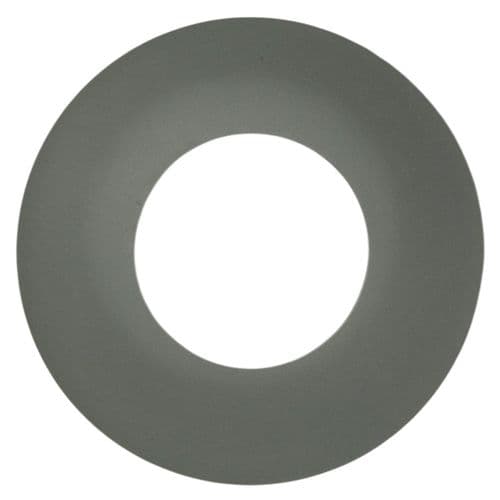 Oli  Seal Onix/Oli 120 Outlet Valve(5 PCS) OL0883174