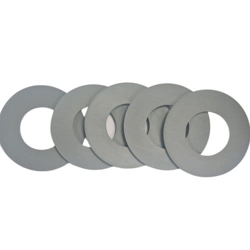 Oli  Seal Onix/Oli 120 Outlet Valve(5 PCS) OL0883174