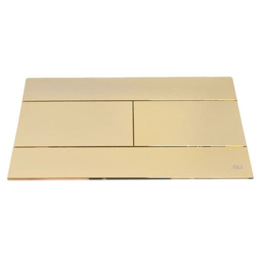 Oli Slim Dual Flush Plate Gold Plated OL154962