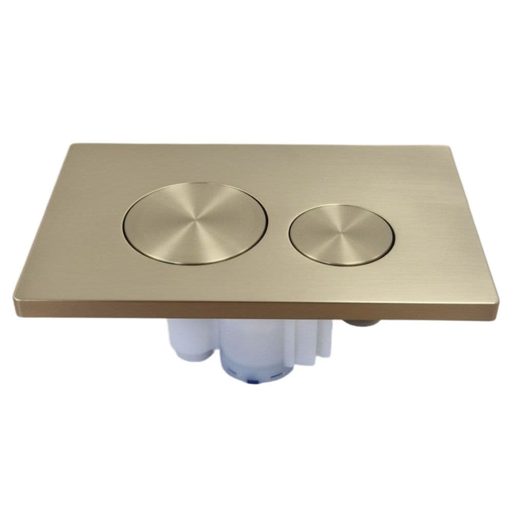 Roper Rhodes Rondo Brushed Brass Dual Flush Plate TR9037