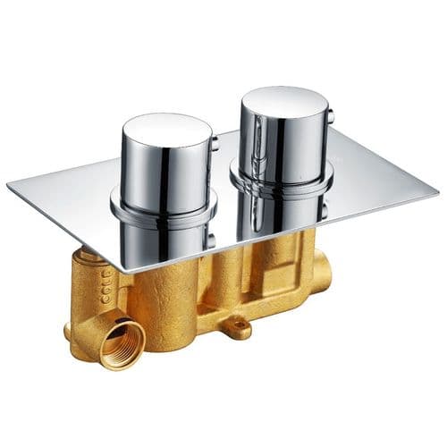 Single Outlet Concealed Thermostatic Mixer Valve CVP001