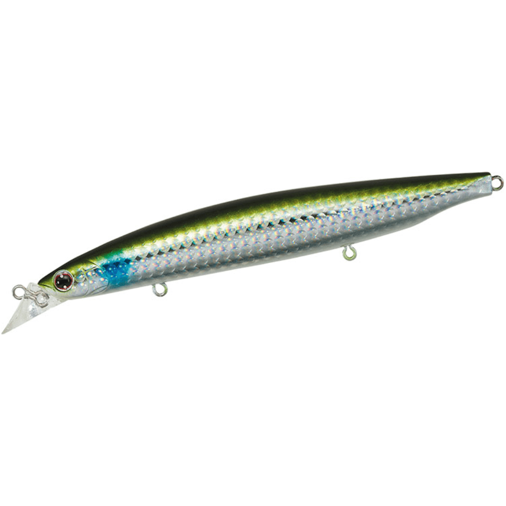 Daiwa Shoreline Shiner Z Vertice 120F SSR Chart Back Pearl - Tiendas de