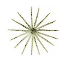 Keitech Little Spider 2