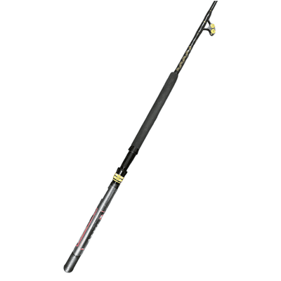 PENN Ally Stand Up 6' 50-100lb