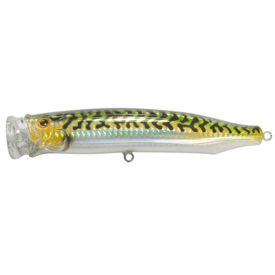 Tackle House Feed Popper 150