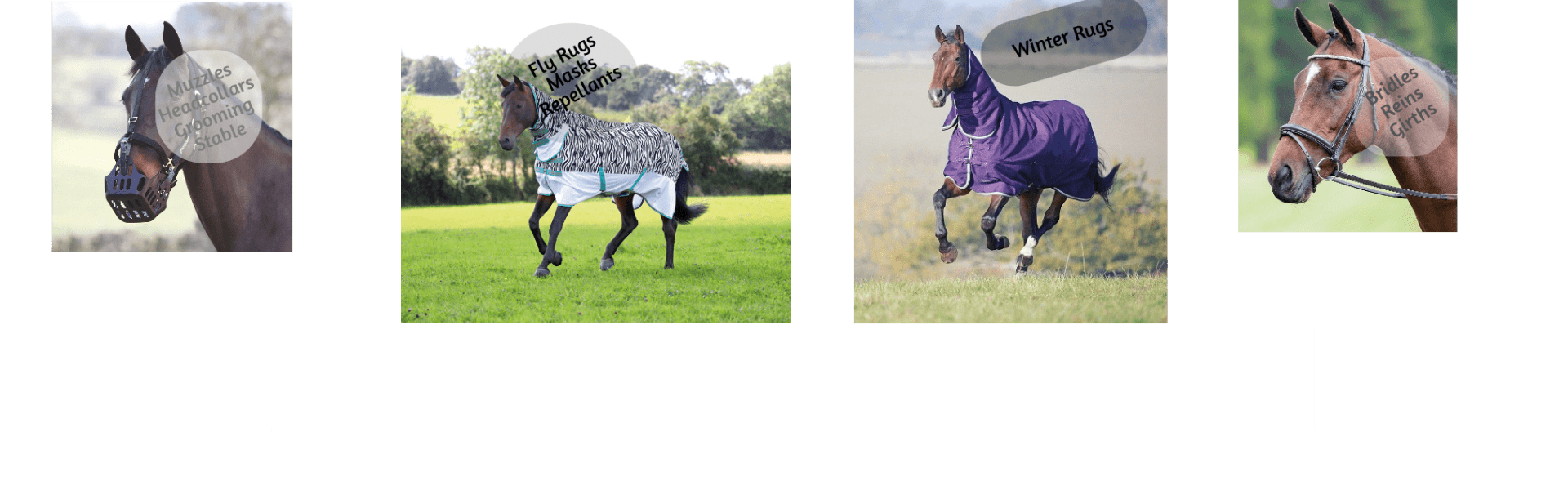 horse rugs
