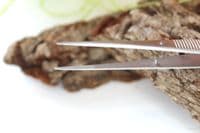 Inta General Ridged Tweezers, Fine Straight Points 11.5cm