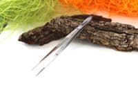 Inta General Ridged Tweezers, Fine Straight Points 11.5cm