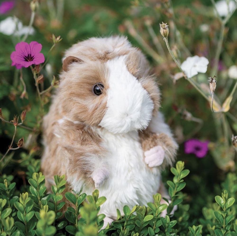 ‘Daphne’ Guinea Pig Plush Character Large - PLUSH007
