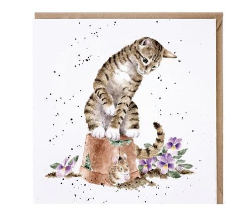 'Hide and Squeak' Cat Card - CS253