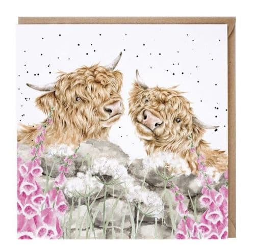 ‘Just for Moo’ Highland Cow Card - CS239