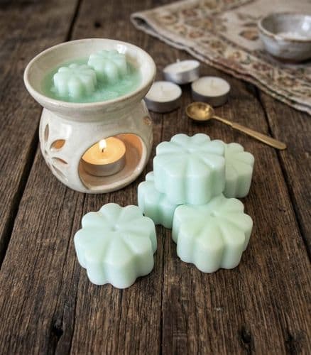 'Melon & Cucumber' Flower Soy Wax Melt