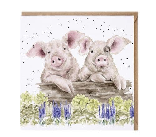 'Noisy Neigh-boars' Pig Card - CS255