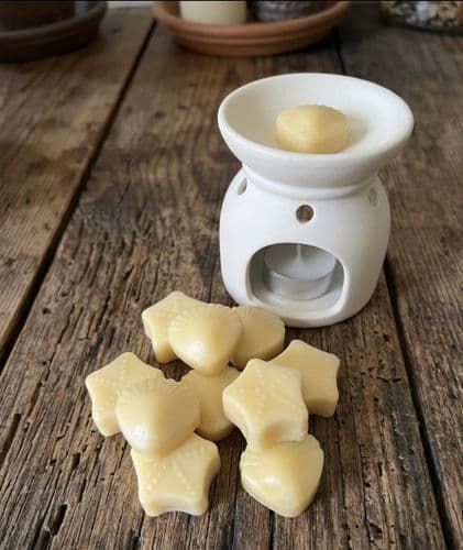 'Paradise Beach' Shell & Star Soy Wax Melts