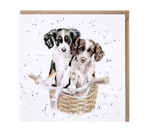 'Paws and Pedals' Dog Card - CS252