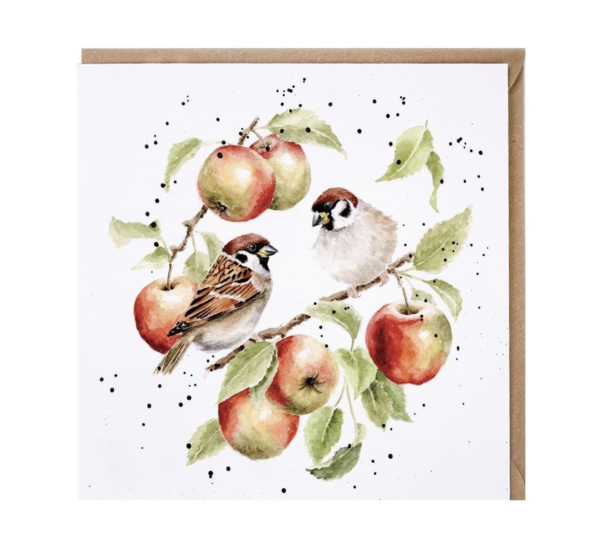 Wrendale Doppelkarte Mit Umschlag 'The Jolly Robin' - Rotkehlchen Design, 17x14 Cm, Innen Blanko