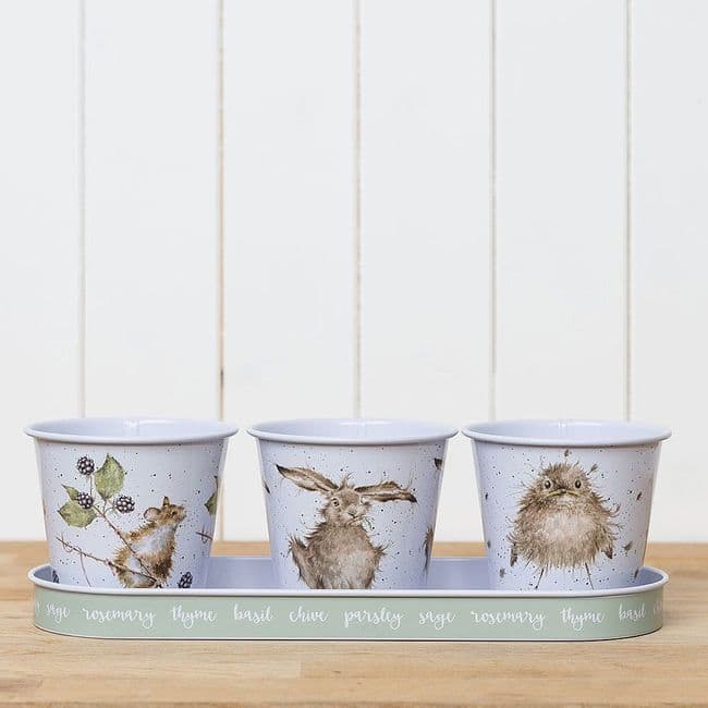 Herb Pots & Tray - GR003