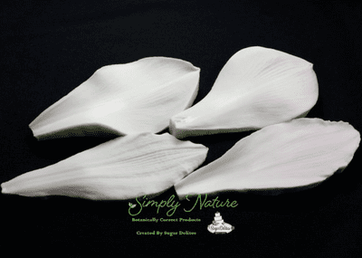 Amaryllis Petal Veiner Set was £33.26 now with 40% discount £19.95