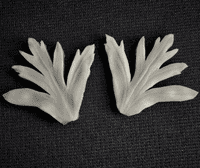 Anemone Leaf Veiner Medium By Simply Nature was £20.15 now with 40% discount £12.09