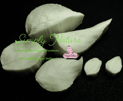 Apple Leaf Veiner Set By Simply Nature was £23.08 now with 40% discount £13.85