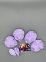 Bearded Iris Petal Veiner Set NO LONGER AVAILABLE