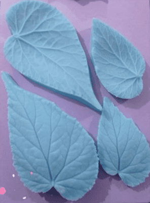 Begonia Leaf veiner set by Stefania Zelli